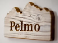 Pelmo